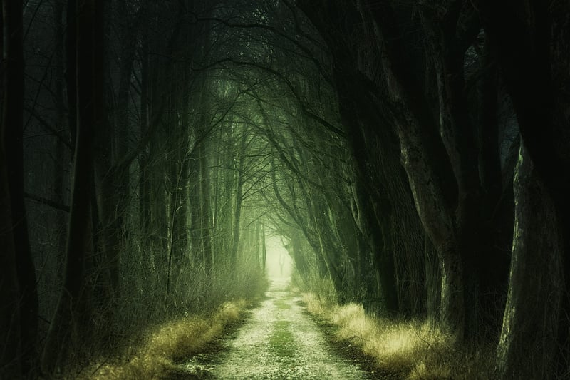 Magic Portal Paths