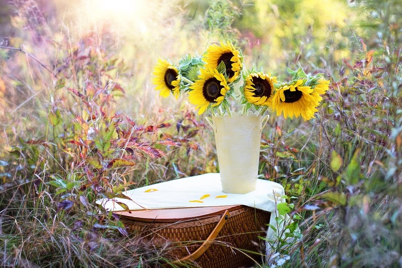 Mystical Plant Arrangements