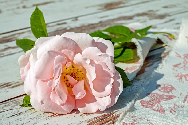 Scented Floral Paradises