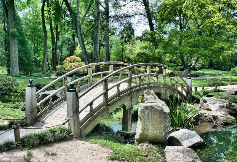 Whimsical Waterway Walk