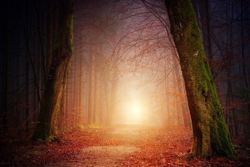 Lantern-Lit Pathway